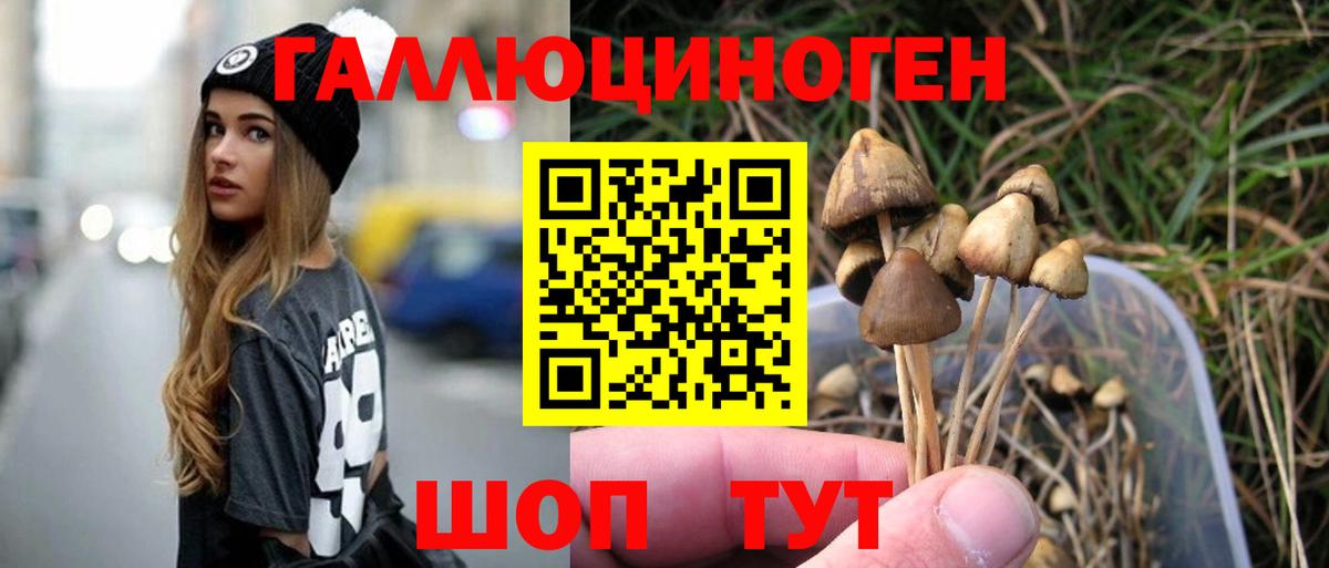 Галлюциногенные грибы Magic Shrooms Рязань